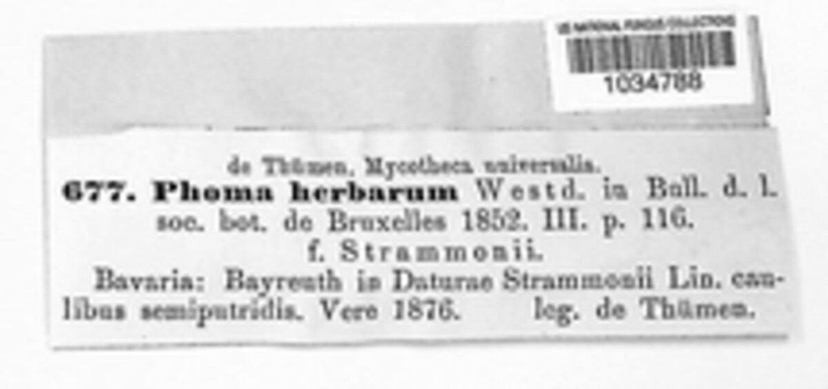Phoma herbarum image